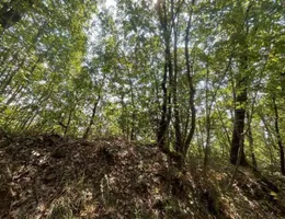 Aste giudiziarie immobiliari online - 3.0