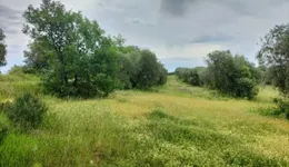 Aste giudiziarie immobiliari online - 4.0