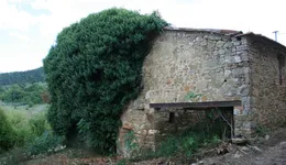 Aste giudiziarie immobiliari online - 10.0
