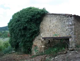 Aste giudiziarie immobiliari online - 10.0
