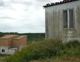 Aste giudiziarie immobiliari online - 9.0