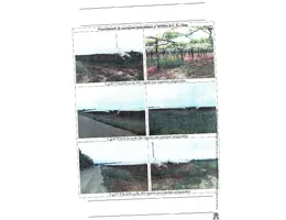 Aste giudiziarie immobiliari online - 8.0