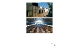 Aste giudiziarie immobiliari online - 11.0