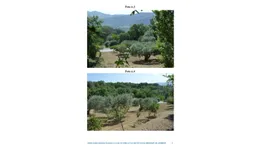 Aste giudiziarie immobiliari online - 7.0