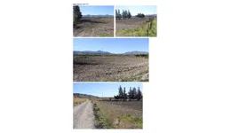 Aste giudiziarie immobiliari online - 11.0