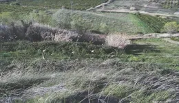 Aste giudiziarie immobiliari online - 7.0