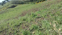 Aste giudiziarie immobiliari online - 3.0