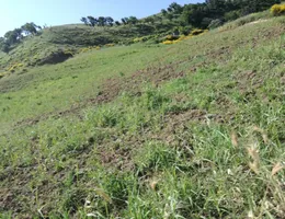 Aste giudiziarie immobiliari online - 7.0