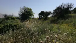 Aste giudiziarie immobiliari online - 10.0