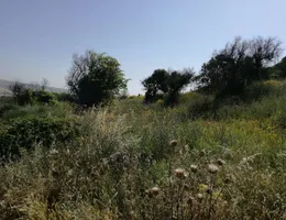 Aste giudiziarie immobiliari online - 8.0