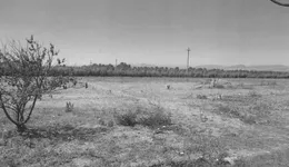 Aste giudiziarie immobiliari online - 7.0