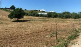 Aste giudiziarie immobiliari online - 6.0