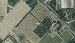 Aste giudiziarie immobiliari online - 11.0