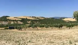 Aste giudiziarie immobiliari online - 2.0
