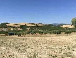 Aste giudiziarie immobiliari online - 8.0