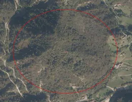 Aste giudiziarie immobiliari online - 9.0