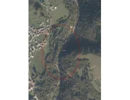 Aste giudiziarie immobiliari online - 10.0