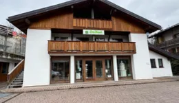 Aste giudiziarie immobiliari online - 8.0