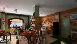 Aste giudiziarie immobiliari online - 9.0