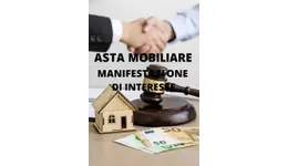 Aste giudiziarie mobiliari online - 2.0