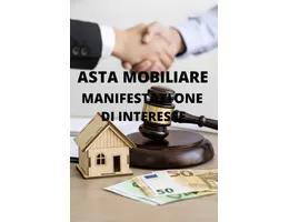 Aste giudiziarie mobiliari online - 5.0