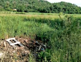 Aste giudiziarie immobiliari online - 4.0