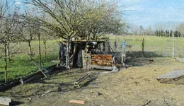 Aste giudiziarie immobiliari online - 1.0