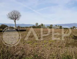 Aste giudiziarie immobiliari online - 4.0