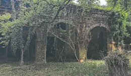 Aste giudiziarie immobiliari online - 1.0