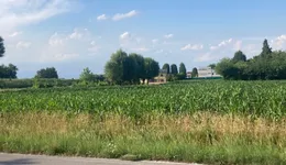 Aste giudiziarie immobiliari online - 12.0