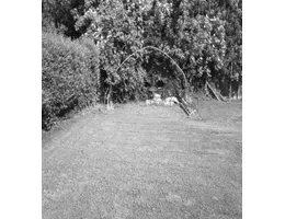 Aste giudiziarie immobiliari online - 2.0