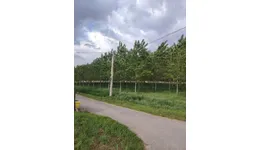 Aste giudiziarie immobiliari online - 4.0