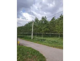 Aste giudiziarie immobiliari online - 3.0