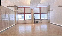 Aste giudiziarie immobiliari online - 8.0