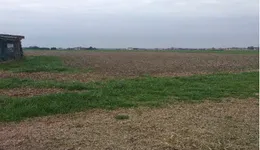 Aste giudiziarie immobiliari online - 6.0