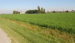 Aste giudiziarie immobiliari online - 2.0