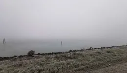 Aste giudiziarie immobiliari online - 5.0