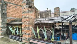 Aste giudiziarie immobiliari online - 1.0