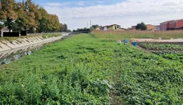 Aste giudiziarie immobiliari online - 11.0
