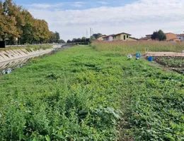 Aste giudiziarie immobiliari online - 8.0