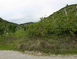 Aste giudiziarie immobiliari online - 7.0