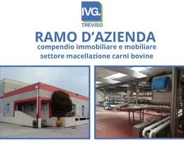 Aste giudiziarie beni immateriali online - 11.0
