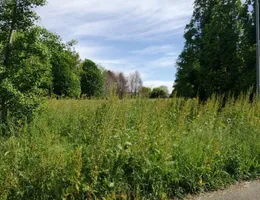 Aste giudiziarie immobiliari online - 4.0