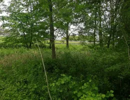 Aste giudiziarie immobiliari online - 5.0