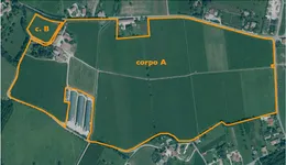 Aste giudiziarie immobiliari online - 1.0