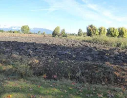 Aste giudiziarie immobiliari online - 9.0