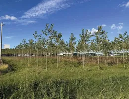 Aste giudiziarie immobiliari online - 4.0