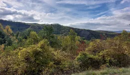 Aste giudiziarie immobiliari online - 10.0