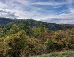 Aste giudiziarie immobiliari online - 2.0