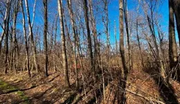 Aste giudiziarie immobiliari online - 7.0